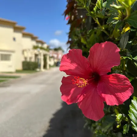 Semesterbostad Adosado En Novo Sancti Petri Cádiz