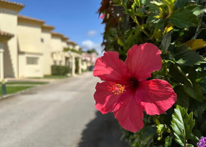Semesterbostad Adosado En Novo Sancti Petri Cádiz